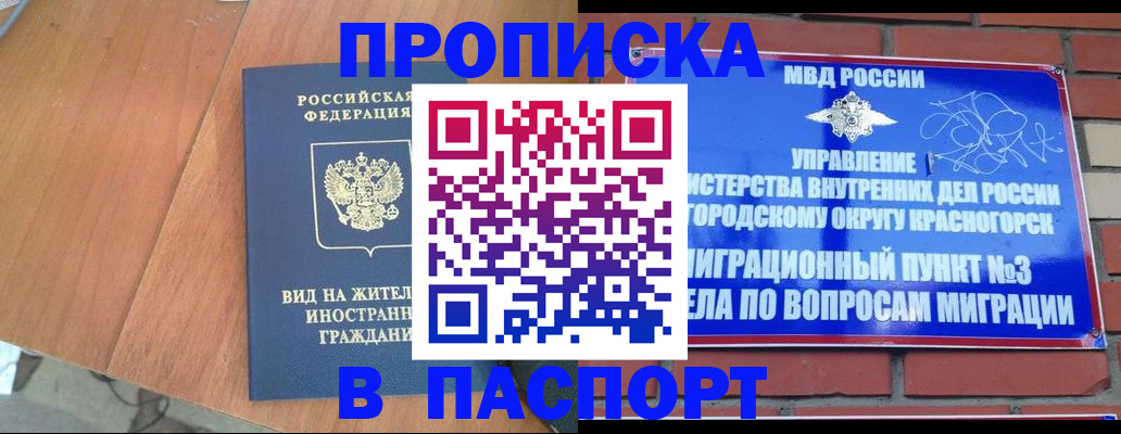 найти адрес прописки в Курчалом